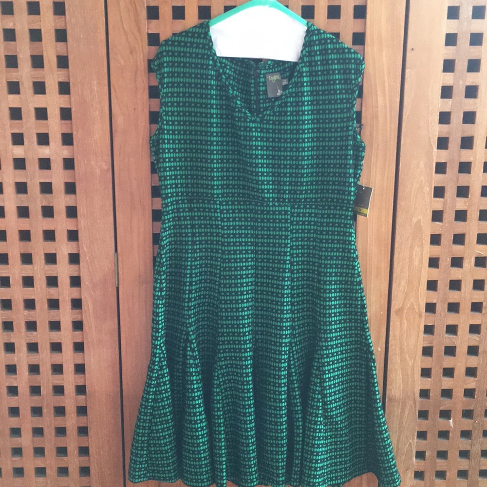 Cute Taylor fit and Flare Dress